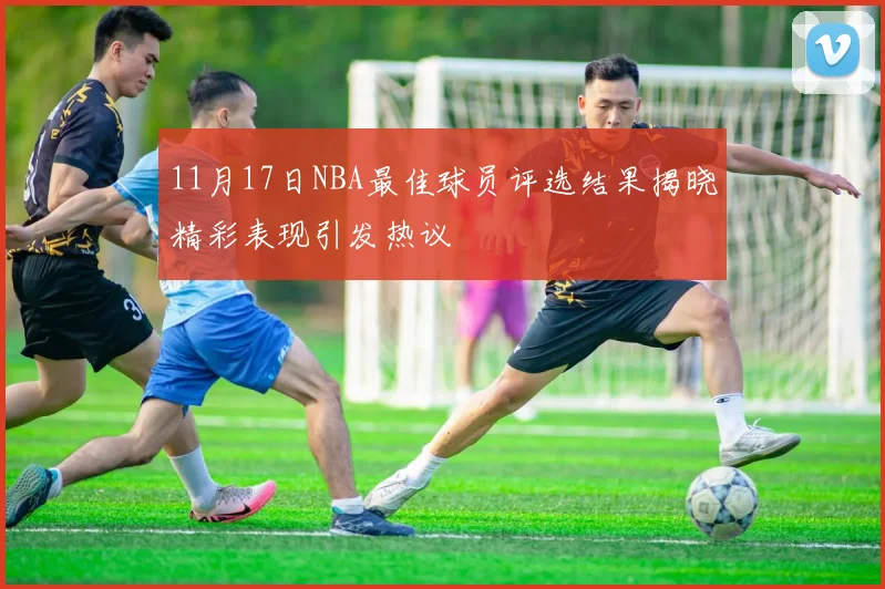 11月17日NBA最佳球员评选结果揭晓精彩表现引发热议