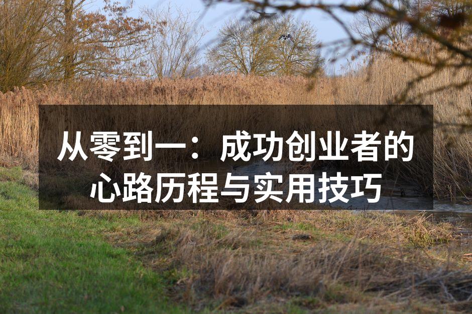 从零到一：成功创业者的心路历程与实用技巧